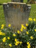 image of grave number 218323